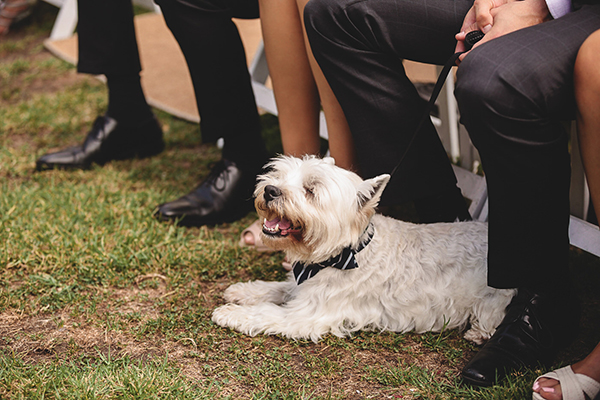 vibrant-colorful-wedding-13